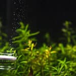 how to add co2 to aquariums