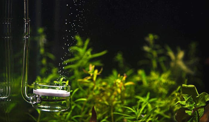 how to add co2 to aquariums