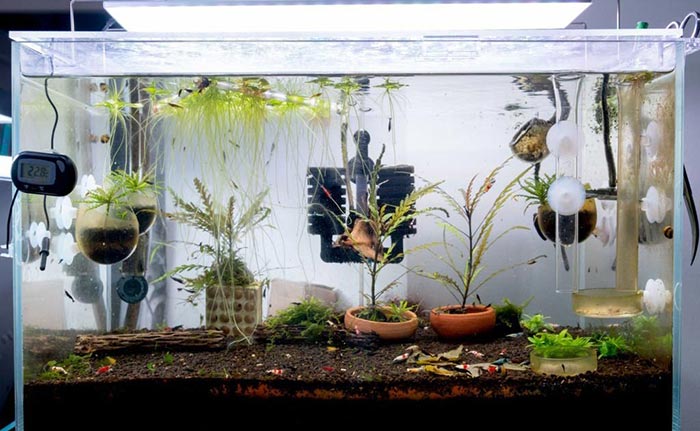 how to change a fish tank filter