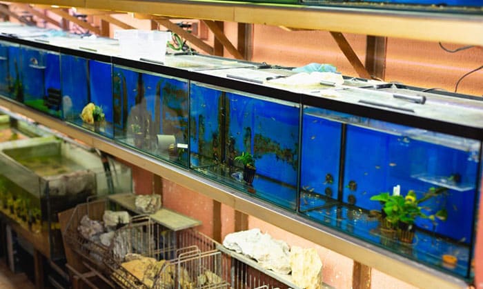 benefits of aquarium leds