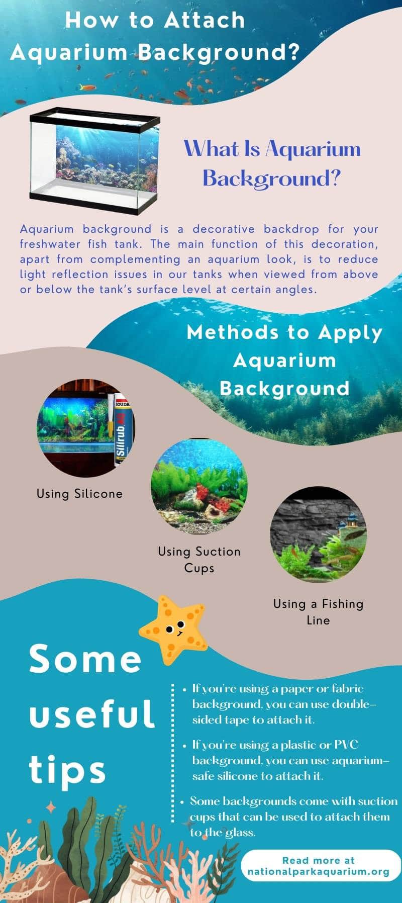 How to Attach Aquarium Background