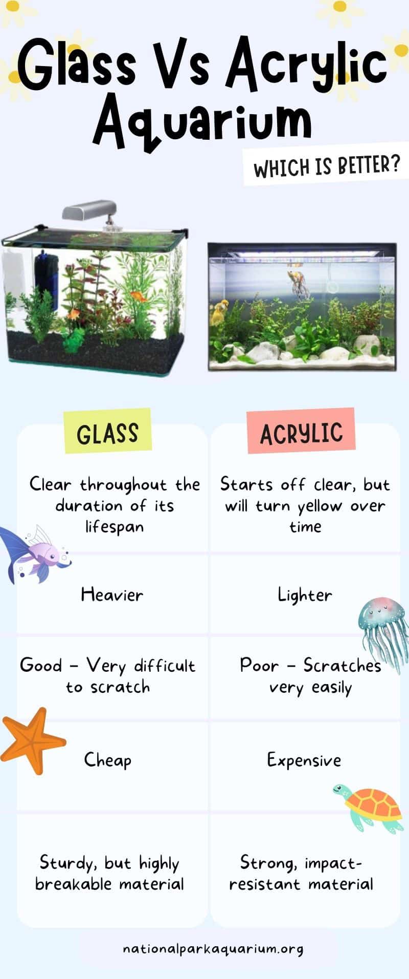 glass vs acrylic aquarium