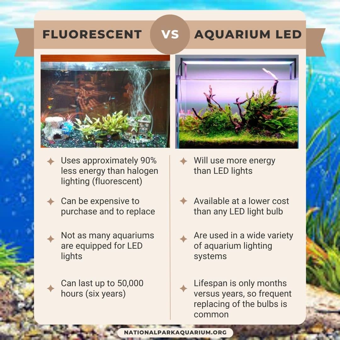 aquarium led vs fluorescent