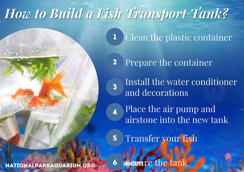 how to build a fish transport tank