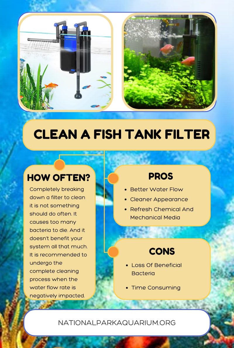 how to clean aquarium filter