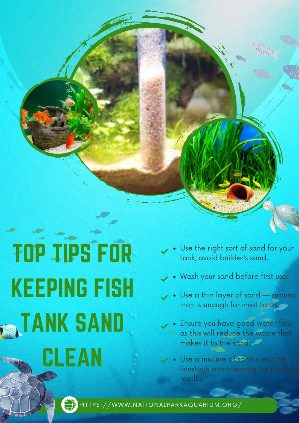 how to clean aquarium sand