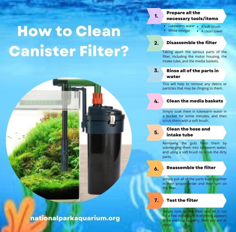 how to clean canister filter
