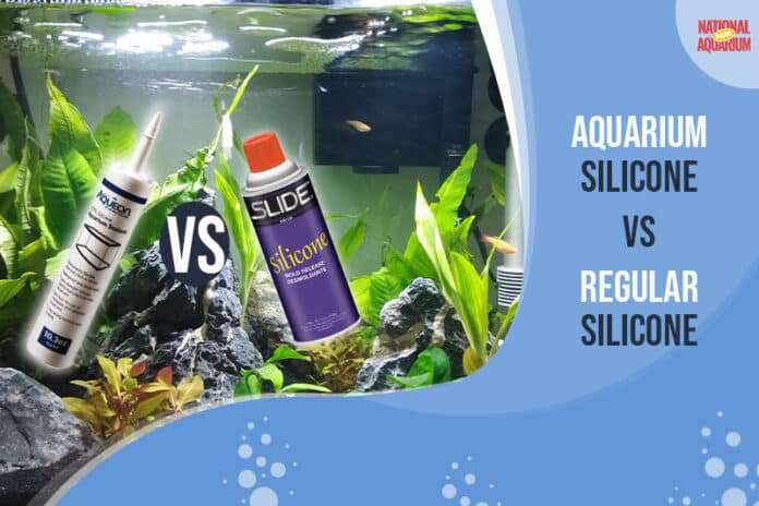 Aquarium Silicone vs Regular Silicone: Which is Safe?