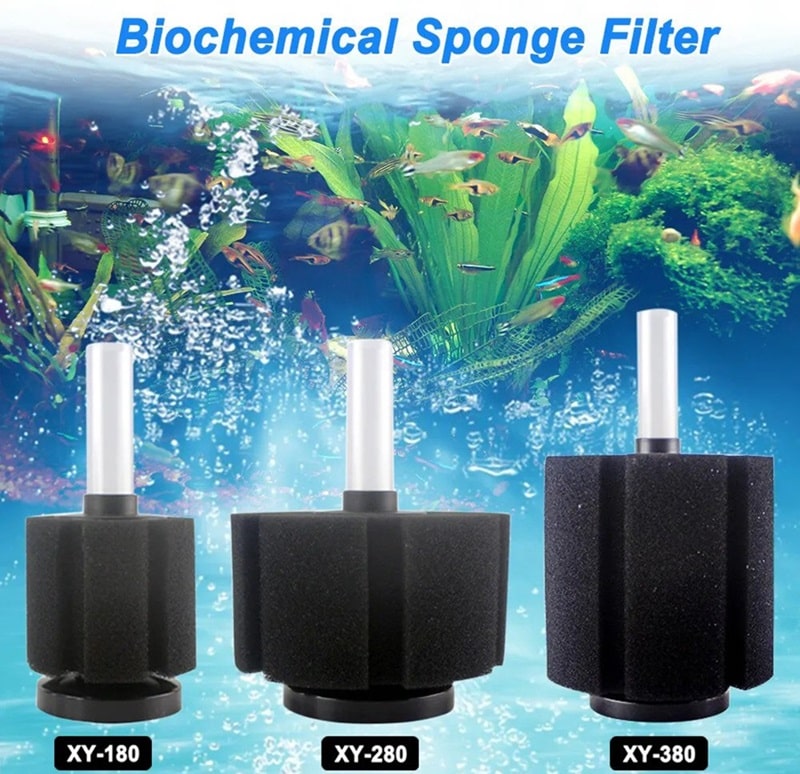 Biological Sponge Filters