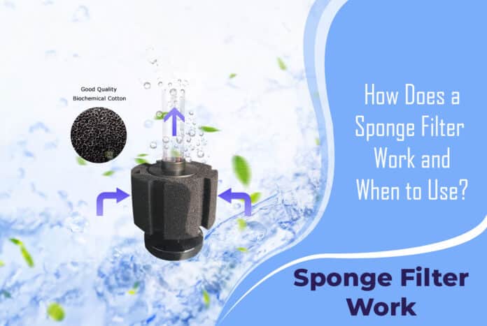 Sponge Filter Work