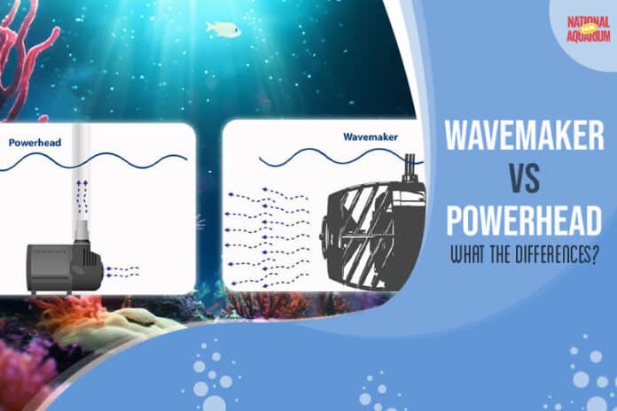 Wavemaker vs Powerhead Comparison