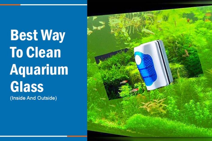 best way to clean aquarium glass aquarium
