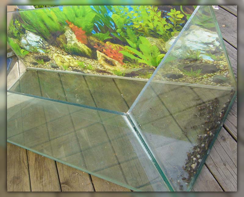 how to clean fish tank glass 