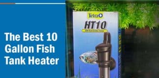heater for 10 gallon fish tank