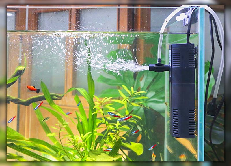 best filter for 10 gallon fish tank