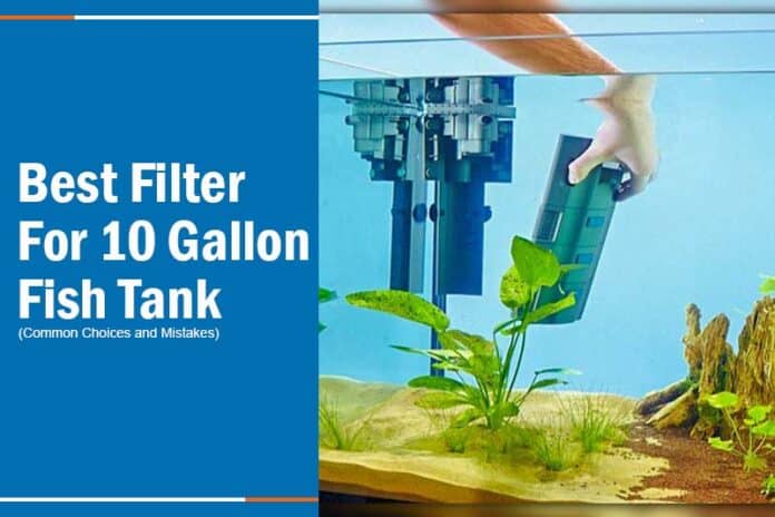 best filter for 10 gallon tank