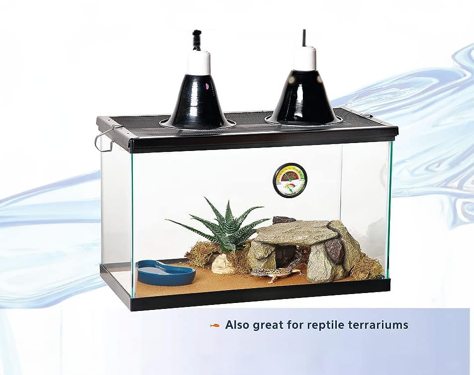 Aqueon Standard Glass Rectangular Tank 10 Gallon Aquariums-4