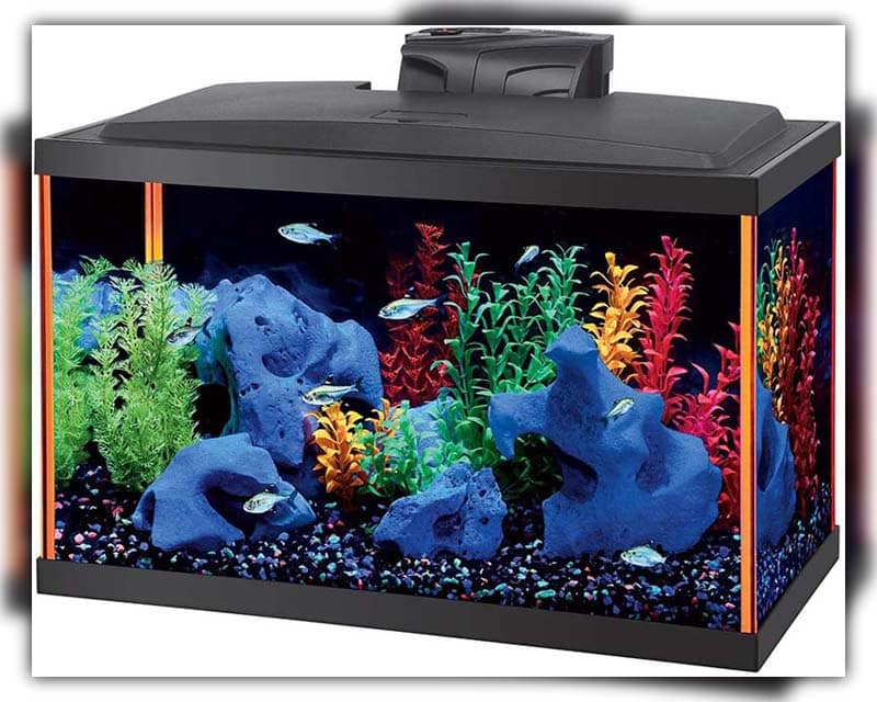 Aquarium Fish Tank with LED Lighting
