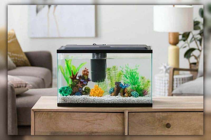 Build the ocean at home with these ideas