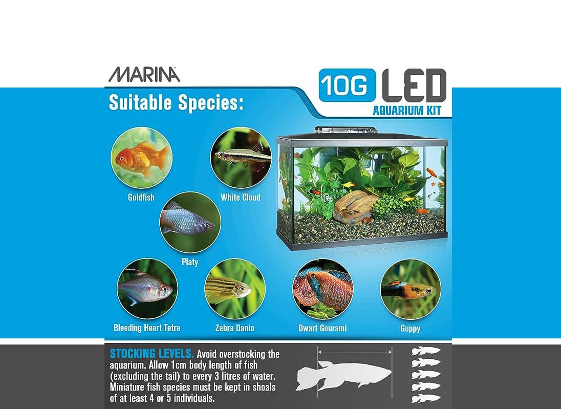 Marina LED Aquarium Kit, 10 Gallon-2