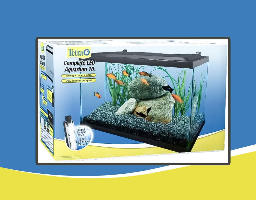 Tetra Complete LED Aquarium 10 Gallons-1