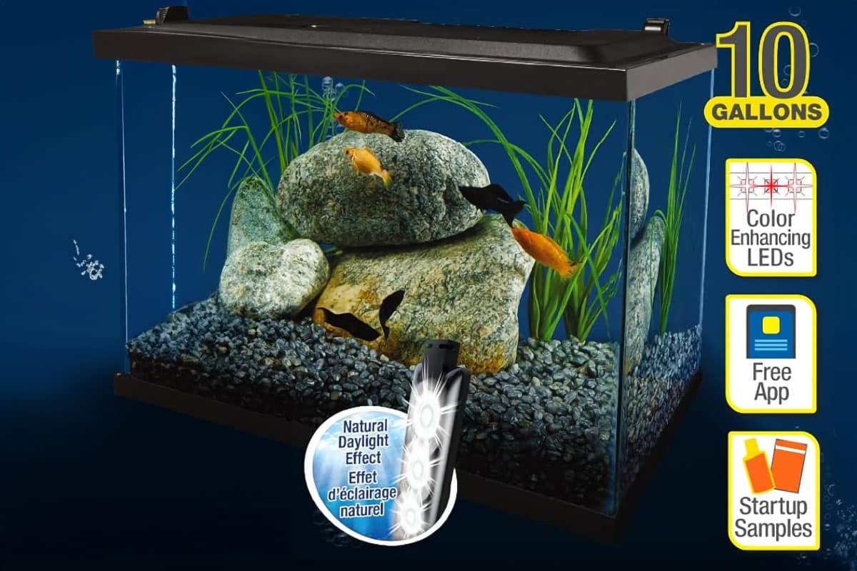Tetra Complete LED Aquarium 10 Gallons