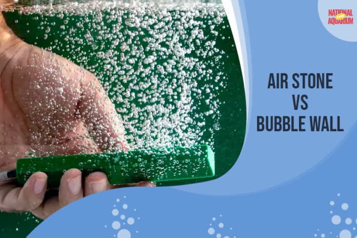 Air Stone vs. Bubble Wall Comparison