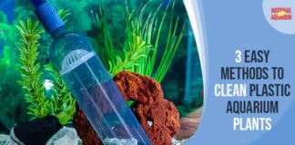 3 Easy Methods To Clean Plastic Aquarium Plants