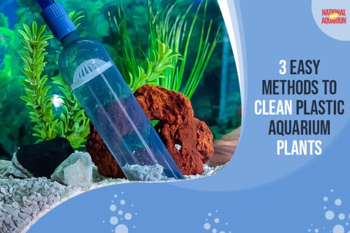 3 Easy Methods To Clean Plastic Aquarium Plants
