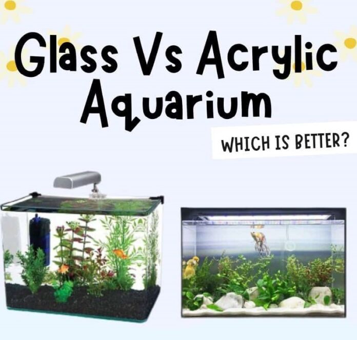 acrylic aquarium vs glass aquarium